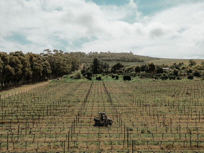Vineyard 4, 13 Olives Somerset West, City of Cape Town
