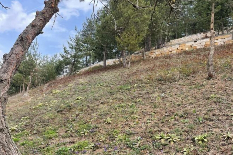 Property amenity 4, IZNIK CANDARLI FARM HOUSES&SPA, İznik