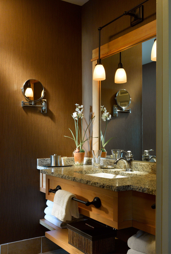 Bathroom, Green Mountain Suites Hotel, Chittenden
