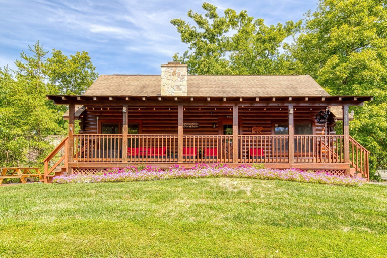 Primary image