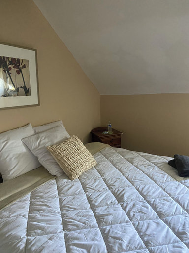 Room 3, Petit château, Mayenne