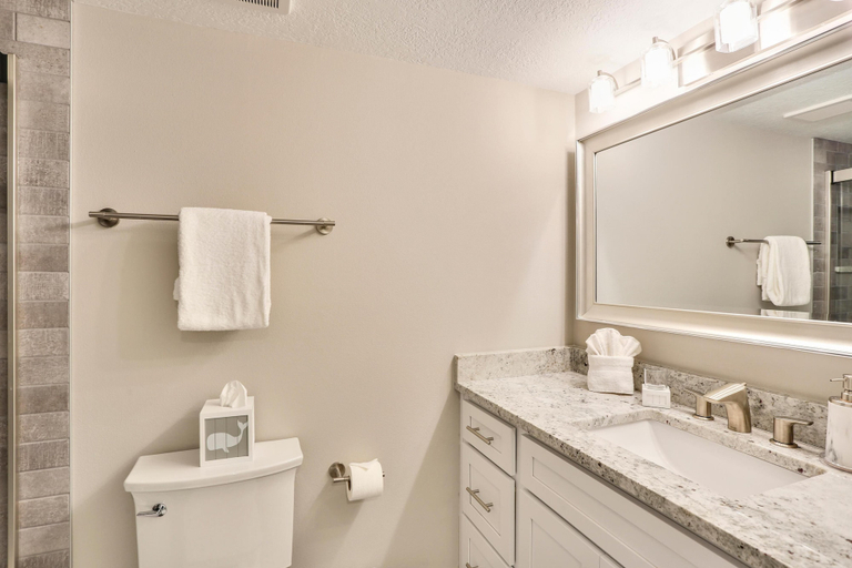 Bathroom 4, Trillium 4C - Premier, Pinellas