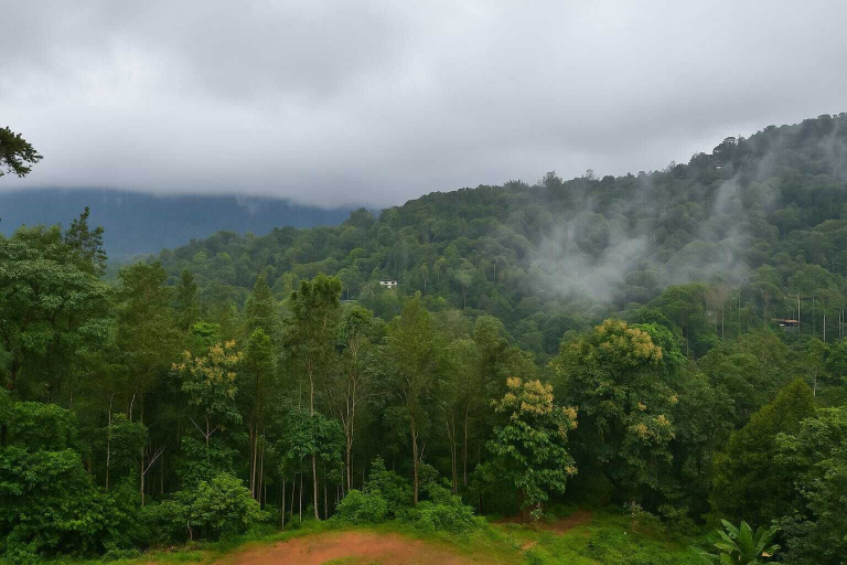 Exterior 5, Rosa Mystica Hotels & Resorts, Idukki