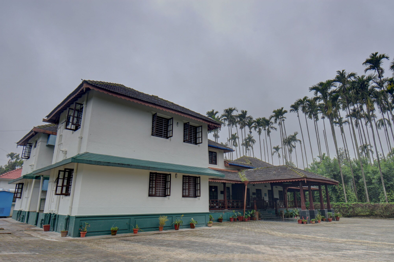 Primary image