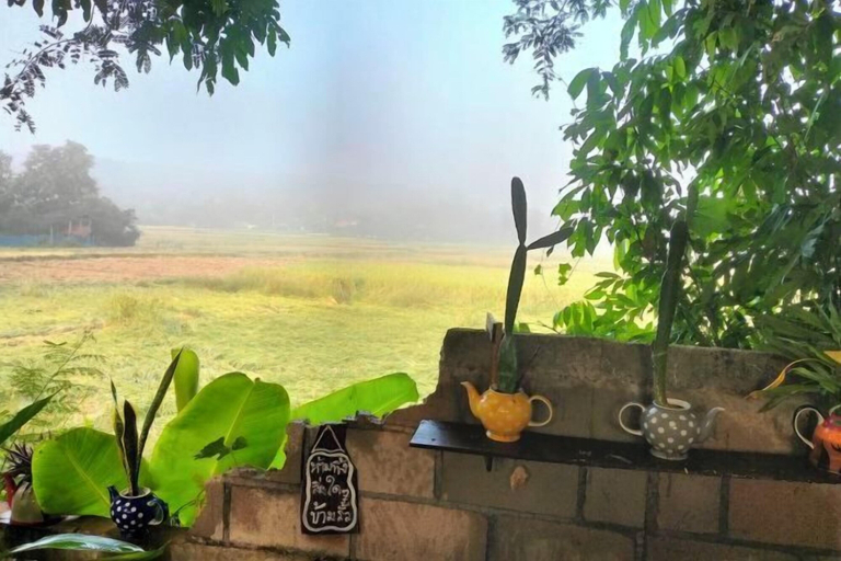 Property grounds, Num Homestay, Mae Tha