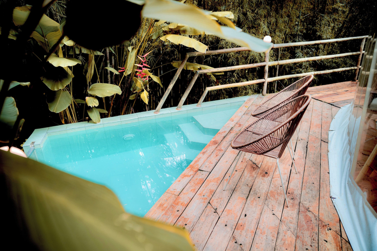Outdoor pool, Treehouse de Valentine Mountain Resort, Balamban