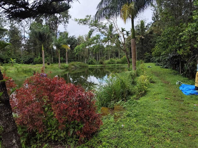 Garden 3, Rising Surya Homestay, Kodagu