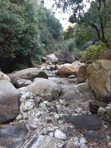 BBQ/picnic area, Nauling heritage, Bageshwar