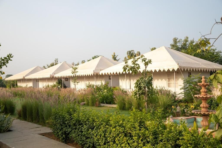 Property grounds, Madho Bagh, Sawai Madhopur