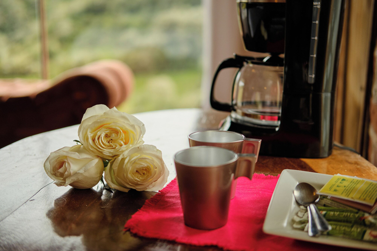 Room 2, Rancho la suiza, Patate