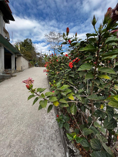 Others 2, Hidden Cottage, South Sikkim