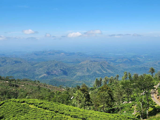 View from property 3, Seraphic Hills, Haputale