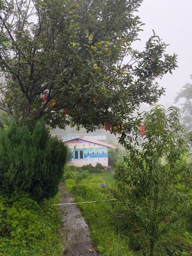Others 5, THC Ecostays Kausani, Bageshwar