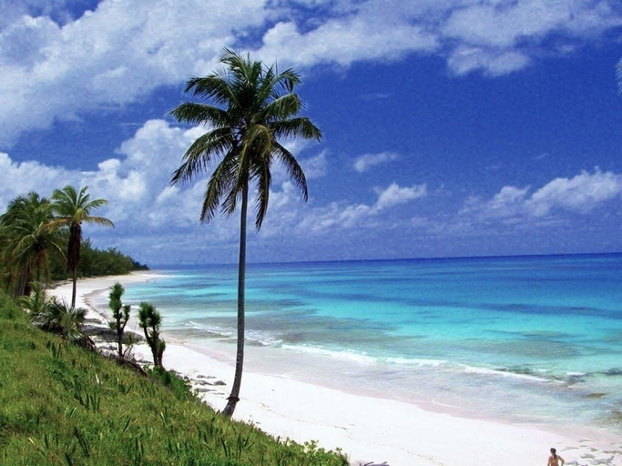 Beach 2, On The Dune - Beachfront Cottage With 50 Mile Ocean View, Pool 2 Bedroom Villa