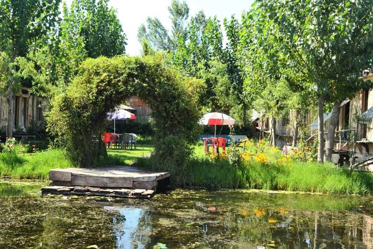 Garden 3, Rose Mary, Srinagar