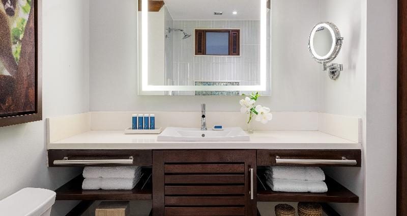 Bathroom 4, Sandals Barbados - Couples Only