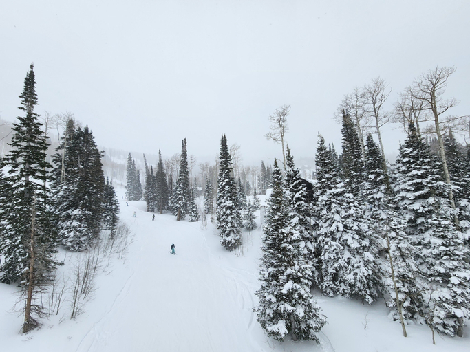 Snow and ski sports 4, Villa 2057 1 Bed 1 Bath Full Kitchen 1 Bedroom Villa, Wasatch