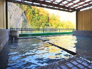 Other 2, Ashiyasu Onsen Iwazonokan, Minami-Alps