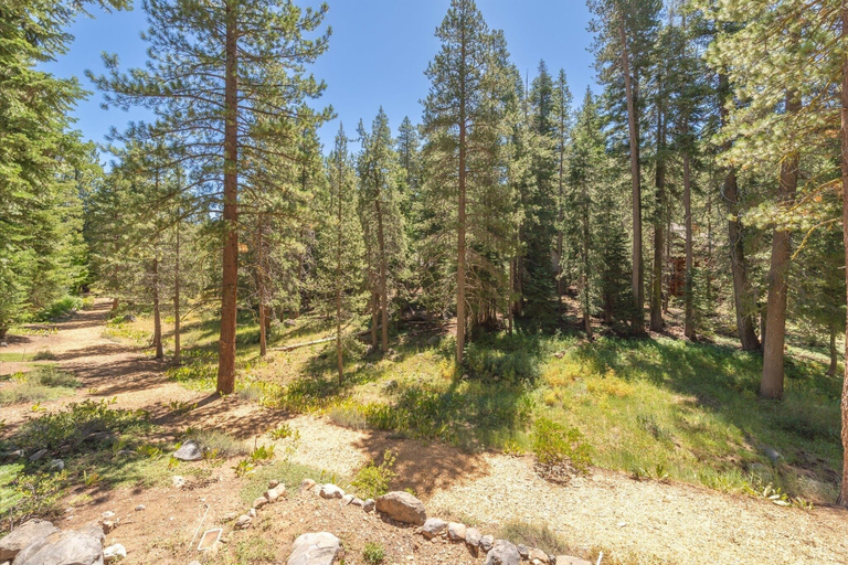 Miscellaneous 5, Jester Court 3 Bedroom Home, Placer
