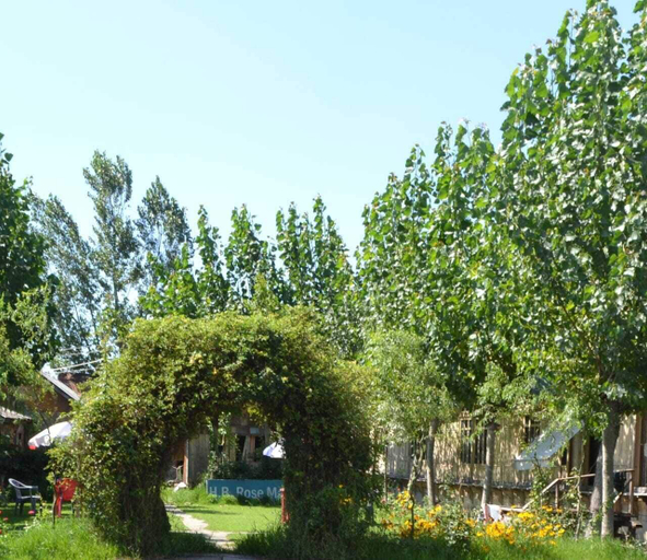 Garden 2, Rose Mary, Srinagar