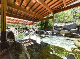 Other 4, Ashiyasu Onsen Iwazonokan, Minami-Alps