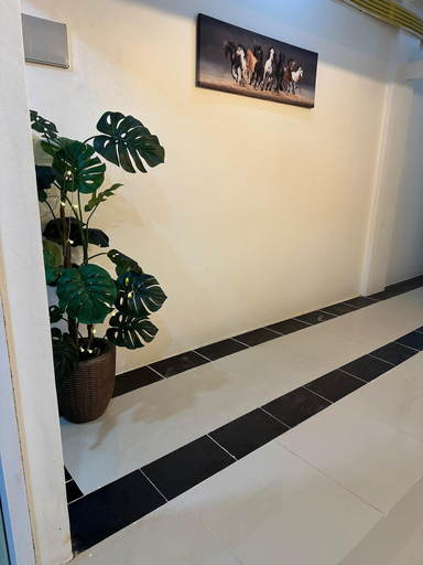 Interior, LimeTree Loft Guesthouse, Phuket Island