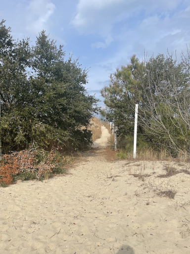 Property grounds, Roomy Beachfront Apartment, Deck, Game Room! 2 Bedroom Apts by RedAwning, Norfolk