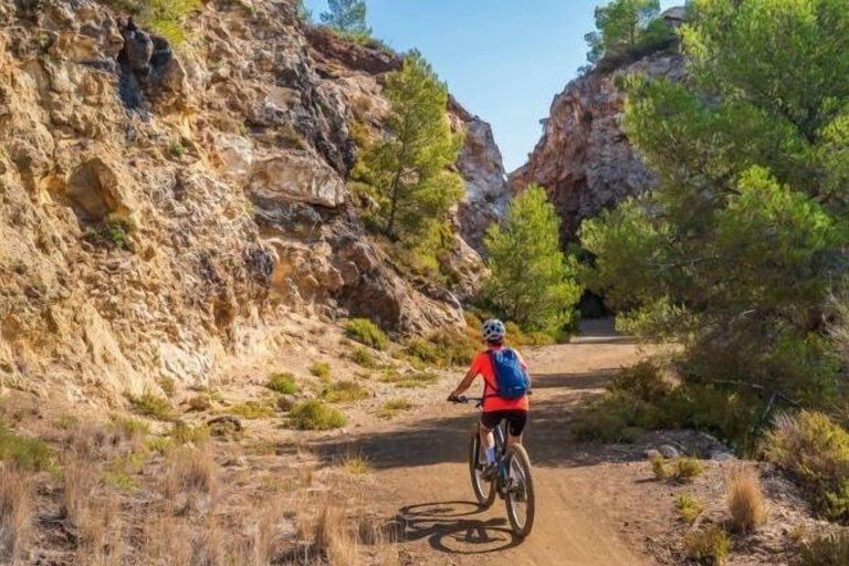 Bicycling, Quaint Monument Retreat Studio, Mesa
