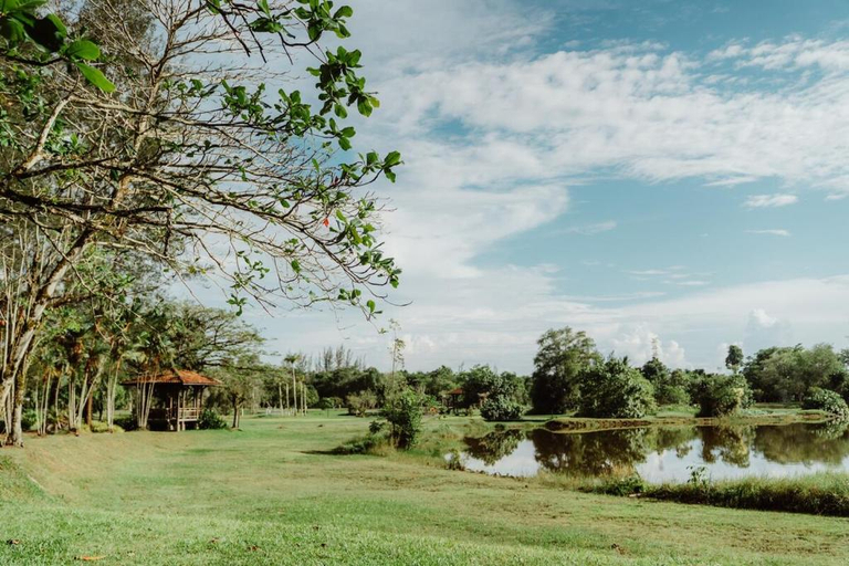 Others 5, (Terminate) Sibu Permai Jaya 500Mbps 10pax 4BR - No Wedding Activities Allowed, Sibu