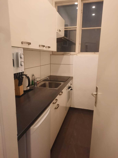 Private kitchen, Bright 2BR Apartment Near Main Sights, Wien