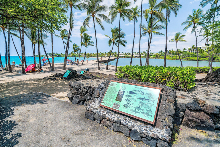 Beach 3, Beautiful Ocean View Ocean Front Pool Access to Beach Club - Vrkcv, Hawaii