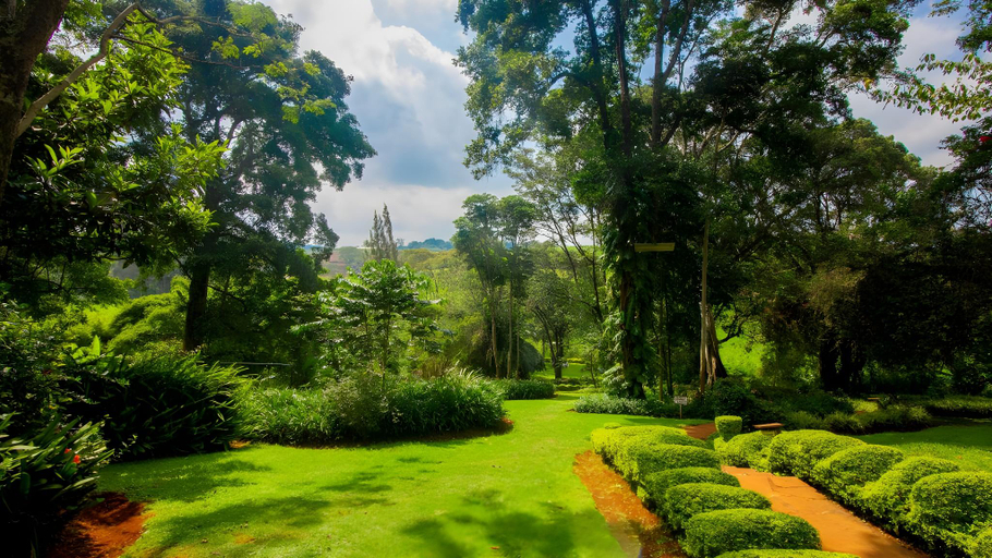 Others 4, Kentmere, Limuru