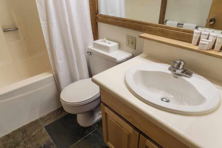 Bathroom 2, 4025 Ski Trails, Placer
