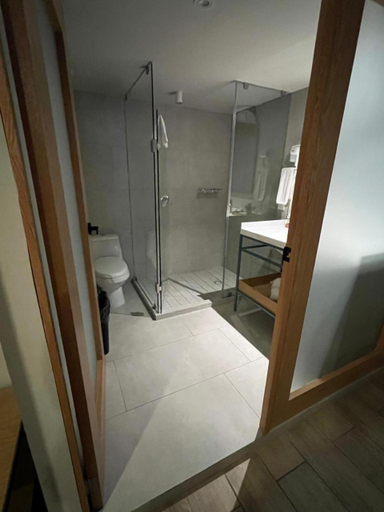 Bathroom 4, Hotel Fuente Del Bosque, Guadalajara