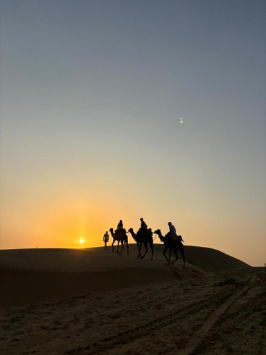 Others 5, Hotel Neem Haveli, Jaisalmer