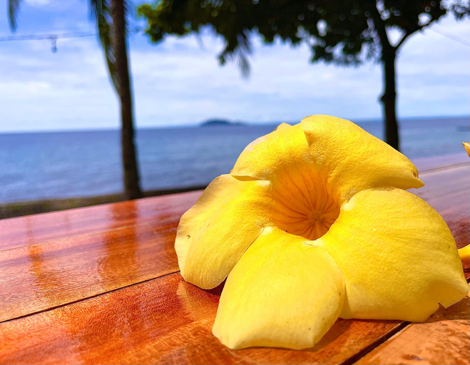 Food & Drinks 5, 囍潜Side Effects Dive Resort Dauin, Zamboanguita