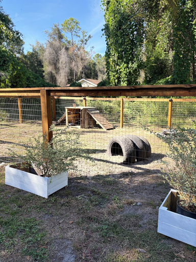 Pet-friendly amenities, The Tally Motel, Leon