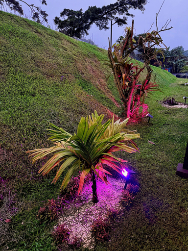 Exterior 2, Biofilia Monteverde, Puntarenas
