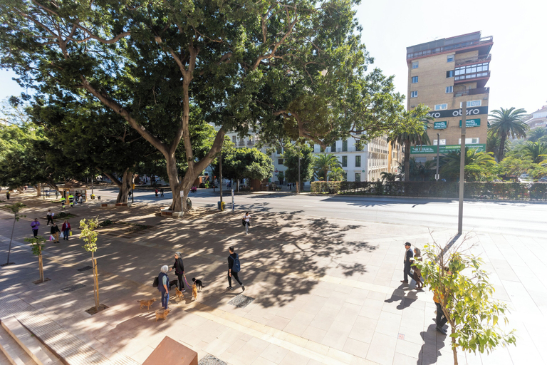 Exterior 3, La Casa de la Alameda, Málaga