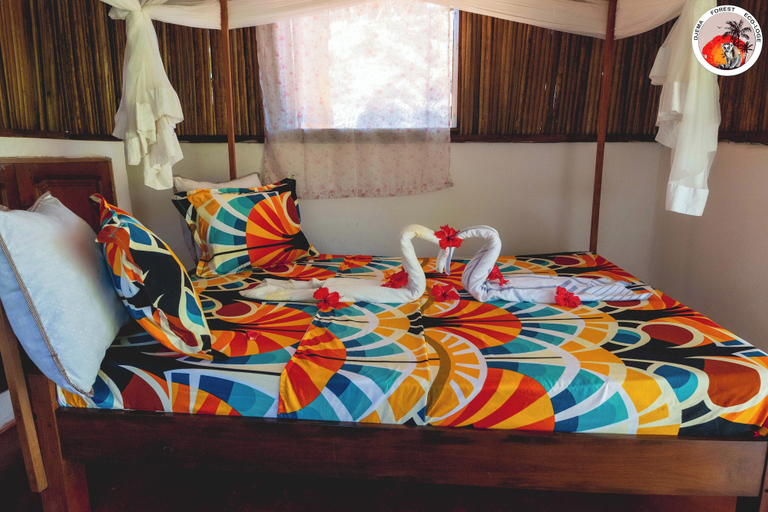 Room 3, Djema Forest, Diana