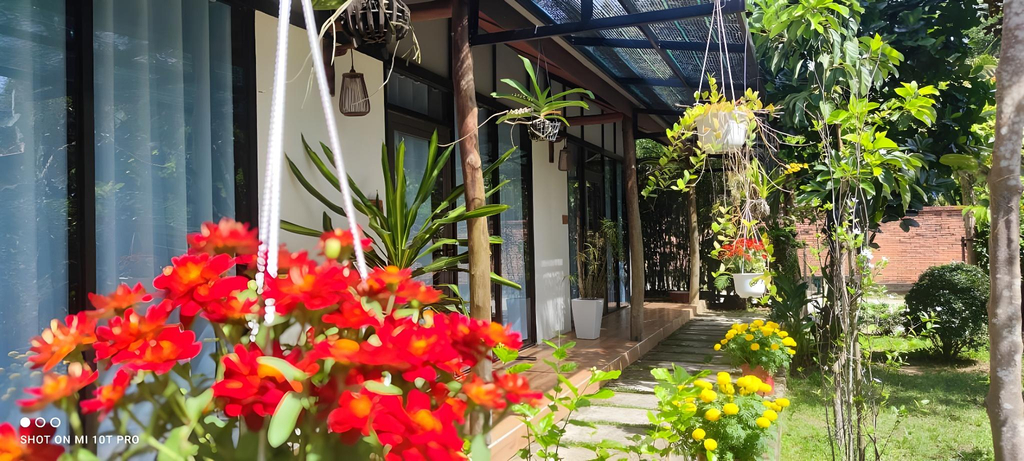 Others 4, Bebe homestay, Phú Quốc
