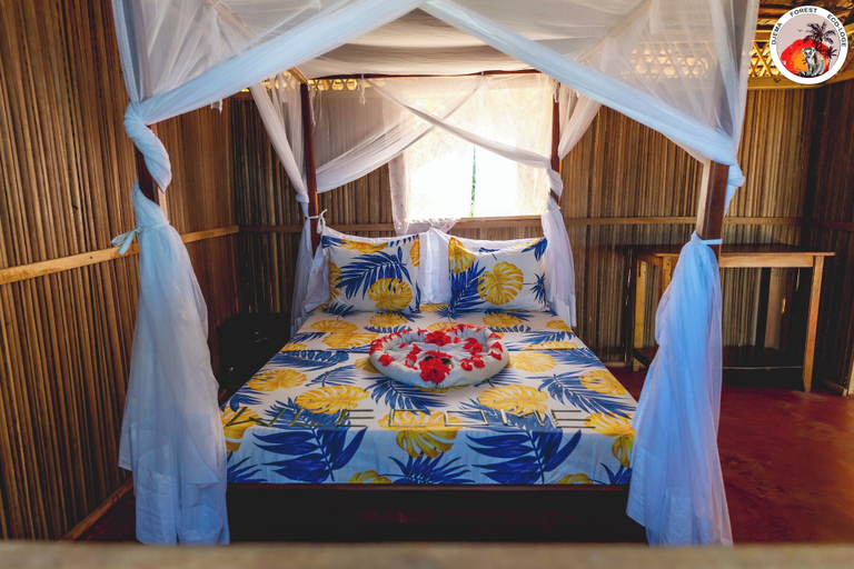 Room 2, Djema Forest, Diana