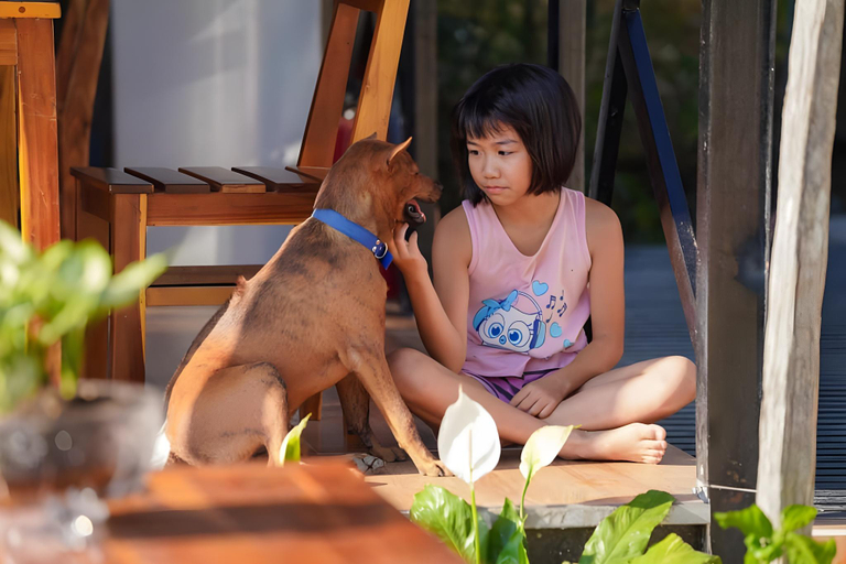 Others 3, Bebe homestay, Phú Quốc