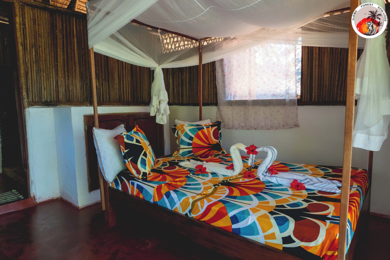 Room 5, Djema Forest, Diana