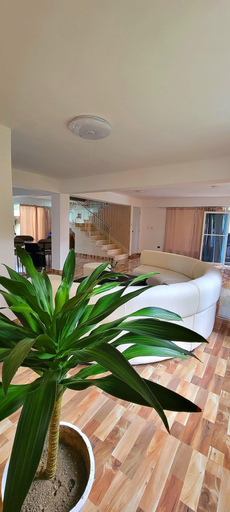 Living area 3, Villa Los Rios, Pedro Brand
