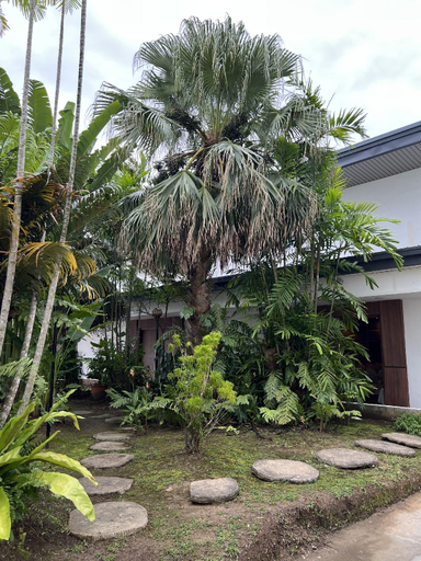 View 5, Likas square serviced apartment with garden view, Kota Kinabalu