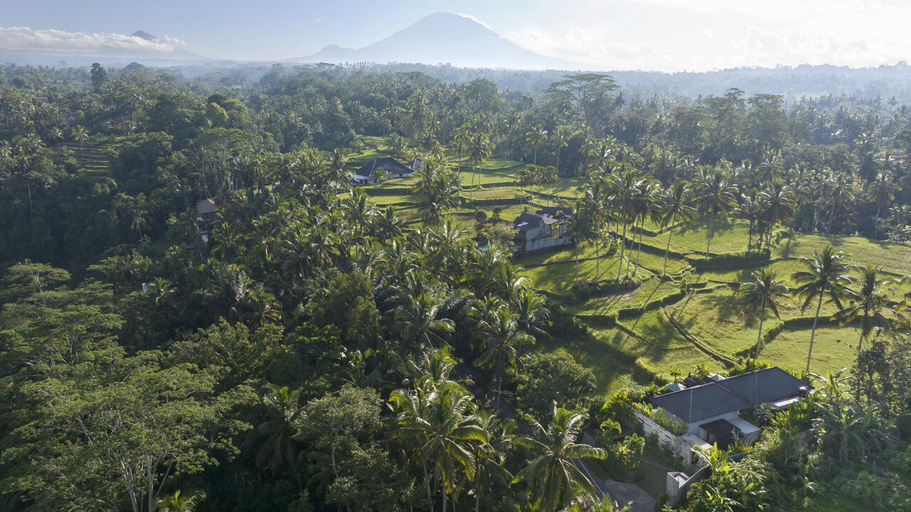 Exterior & Views 1, Arvanya Villa Ubud, Gianyar