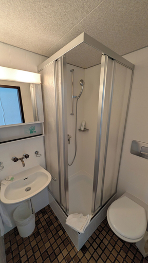 Bathroom 5, Hotel Harder Minerva, Interlaken