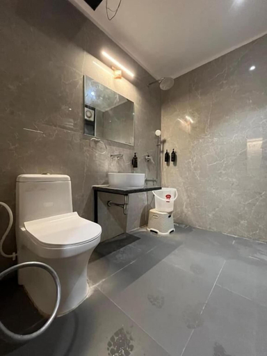 Bathroom 2, KRISHNA ANANDAM PALACE, Mathura