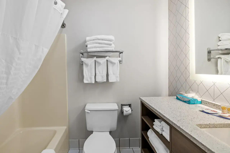 Bathroom 4, Comfort Inn Traverse City, Grand Traverse
